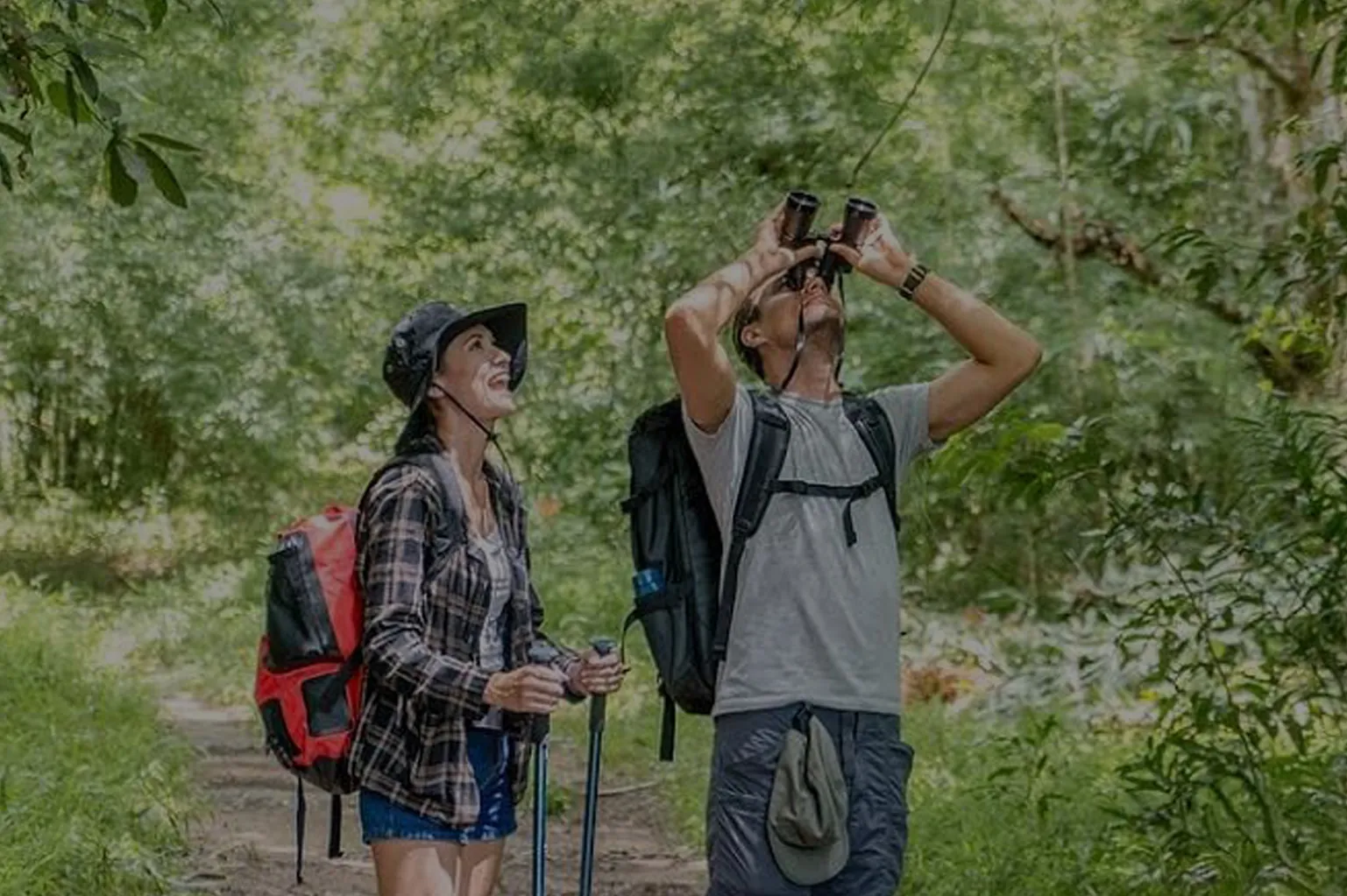 Bird watching in the Nilgiris