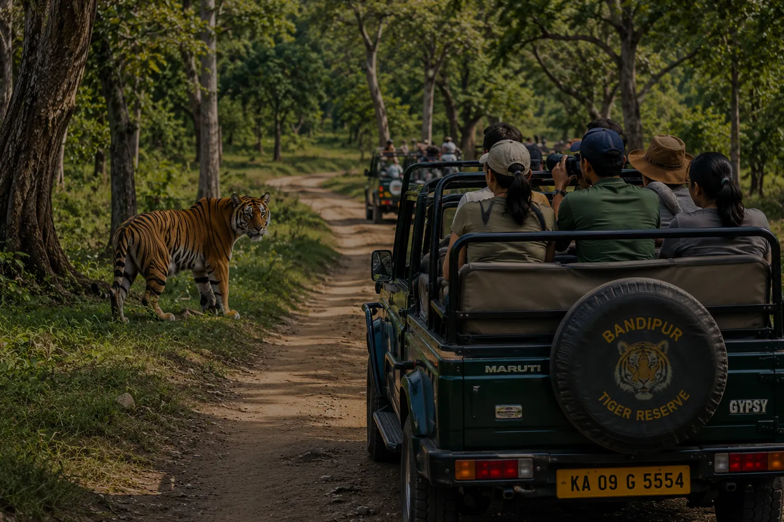Open-air jeep safari near Masinagudi