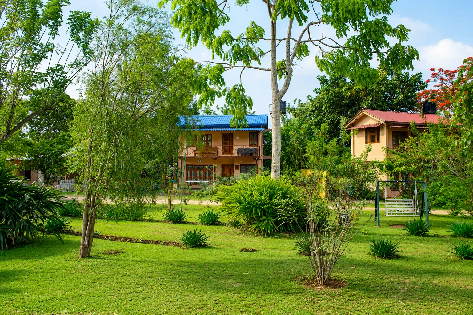 Open green grounds at Aranyasun, Masinagudi